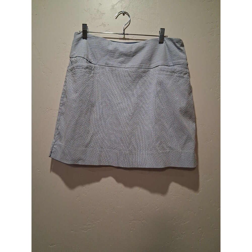 S.C.&Co Women's Skort Size L Blue White Striped Stretch Built-In Shorts Golf